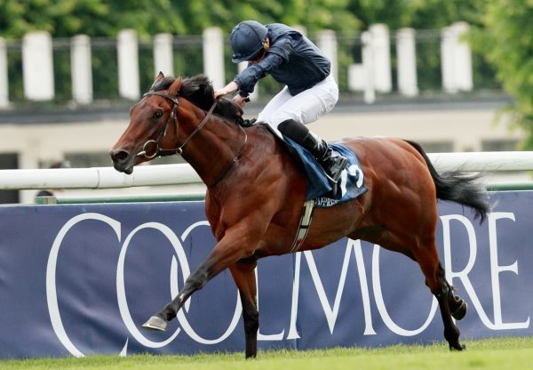 Henri Matisse Winning The Gr 1 French 2000 Guineas