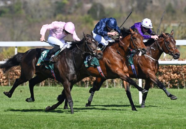 Henri Matisse (Wootton Bassett) Wins The Group 3 Red Rock Stakes At Leopardstown