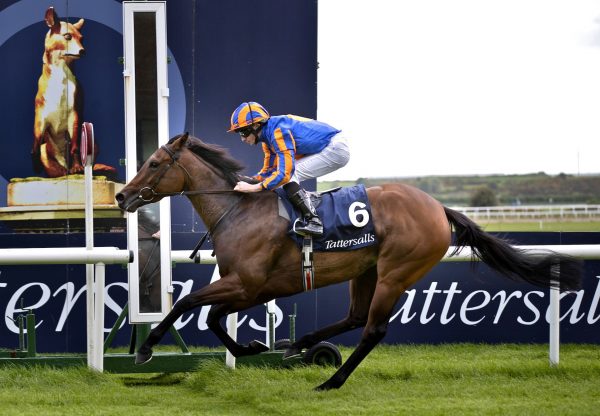 Hermosa (Galileo) Completed The Guineas Double