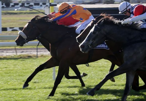 Heroic Valour (Fastnet Rock)