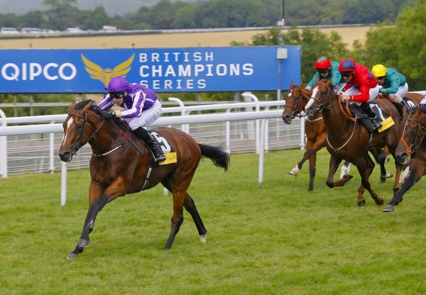 Highland Reel winning the Vintage Stakes