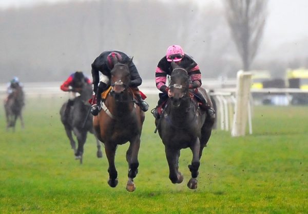 Holly Bush Henry (Yeats)