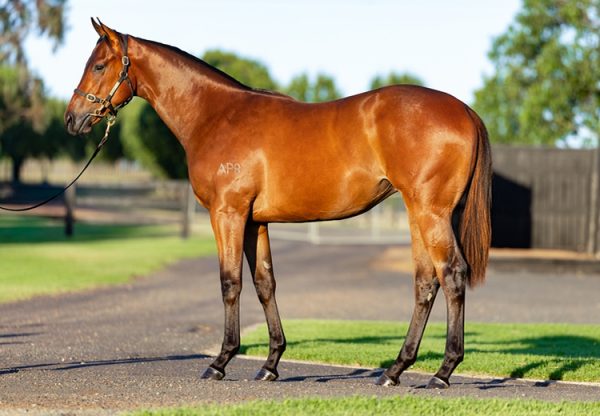 Home Affairs X Dance Music 750