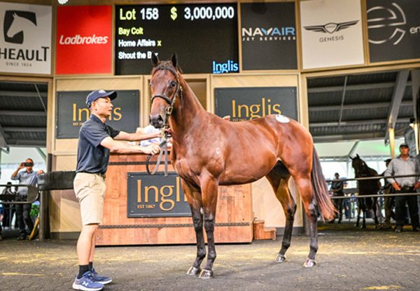 Home Affairs X Shout The Bar Sale Ring 750