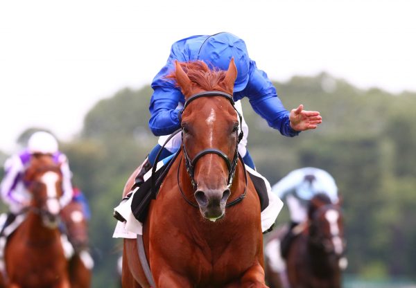 Hurricane Lane Grand Prix De Paris 2 Web