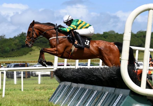I Am River (walk in the park) Wins Maiden Hurdle At Kilbeggan