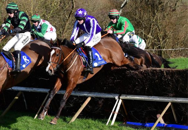 Idaho Valley (Idaho) Winning The 4 Yo Maiden At Tallow