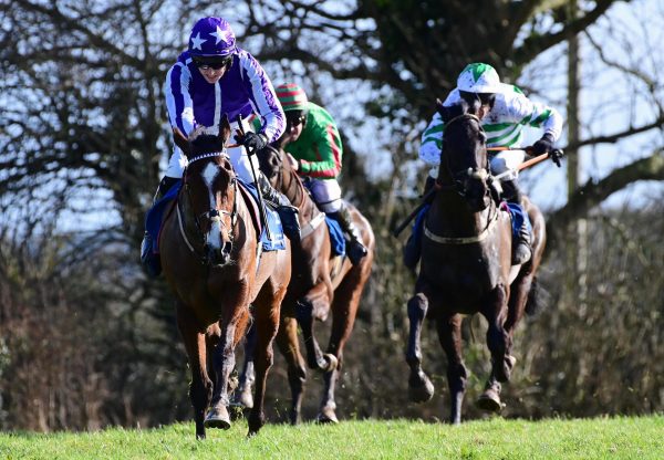 Idaho Valley (Idaho) Wins The 4YO Maiden At Tallow