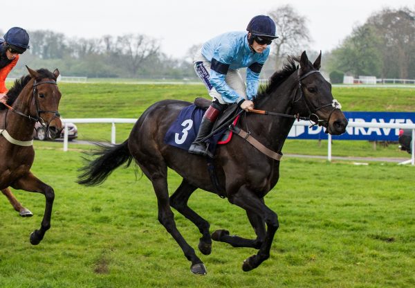 Ifyousayrun (Mahler) winning at Chepstow