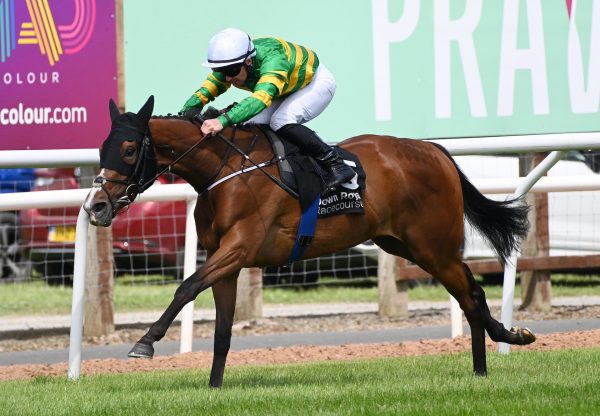 In My Teens (camelot) Impresses At Down Royal