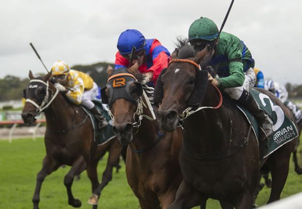 Inference (So You Think) winning the ATC Randwick Guineas