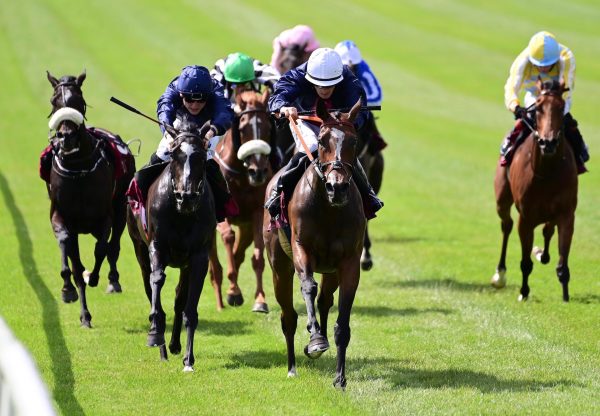 Insinuendo (Gleneagles) Wins The Group 2 Kilboy Estate Stakes At The Curragh