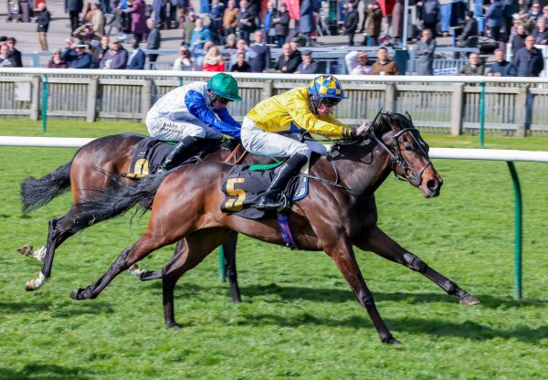 It Ain’T Two (Calyx) Wins On Debut At Newmarket