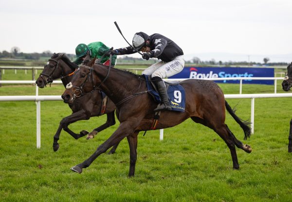 I’M Slippy (Maxios) Wins The George Mernagh Memorial Sales Bumper