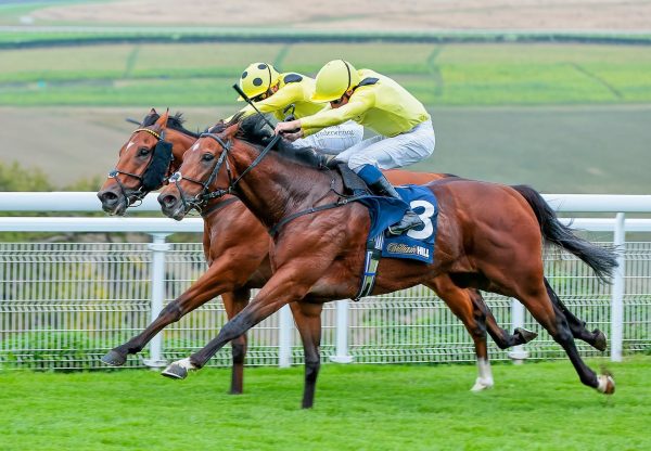 Jadoomi (Holy Roman Emperor) Wins The Group 2 Celebration Mile At Goodwood