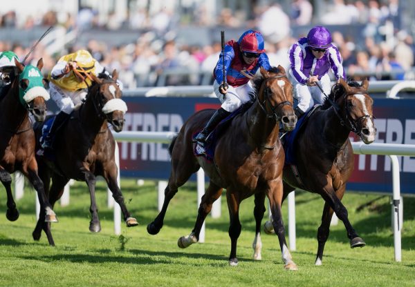 Jan Brueghel (Galileo) Wins The St Leger