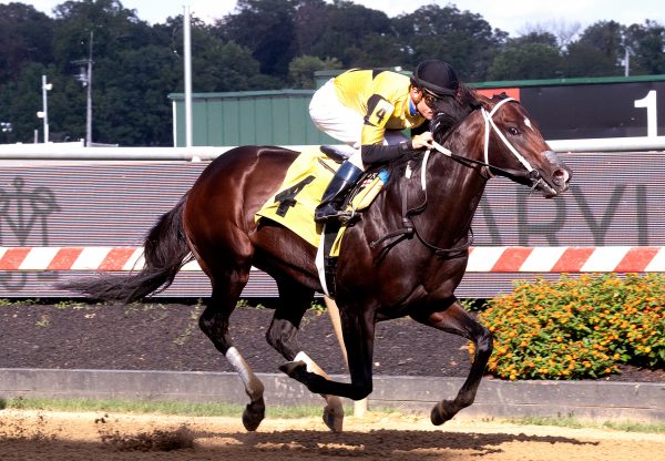Jaxon Traveler (Munnings) winning the Star De Naskra at Pimlico