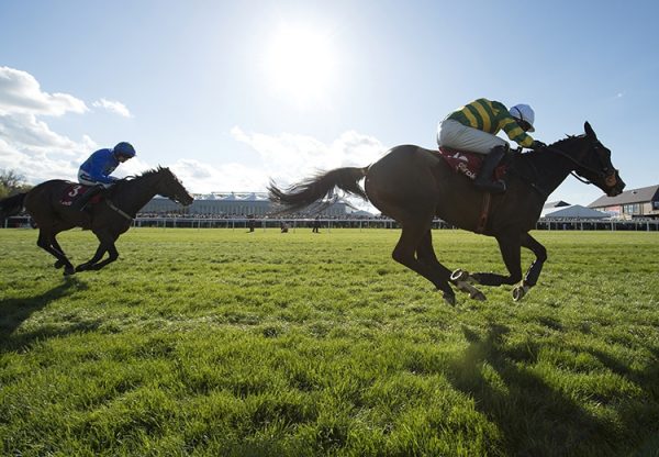 Jezki (Milan) winning the G1 Ladbrokes Series World Hurdle at Punchestown