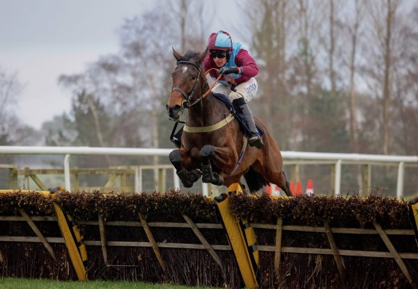 Just Jess (Yeats) Wins The Mares’ Novices’ Hurdle At Hexham