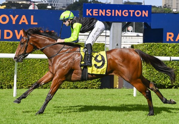 Just A Journey (Justify) Randwick 750