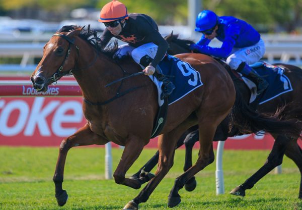Just Feelin (justify) Lucky Eagle Farm 750