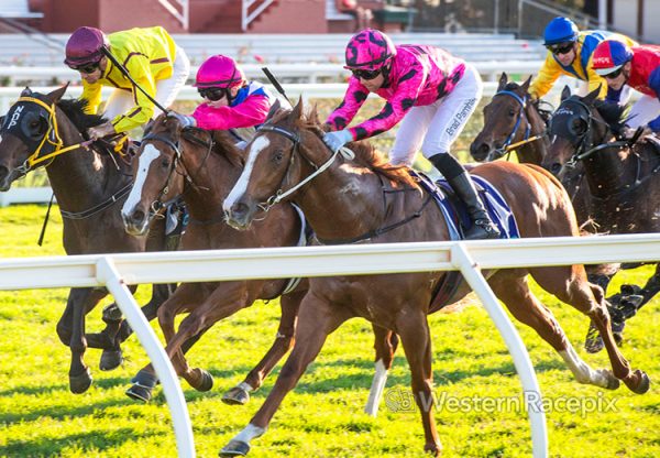 Just Too Fly (justify) Wa Sires 750