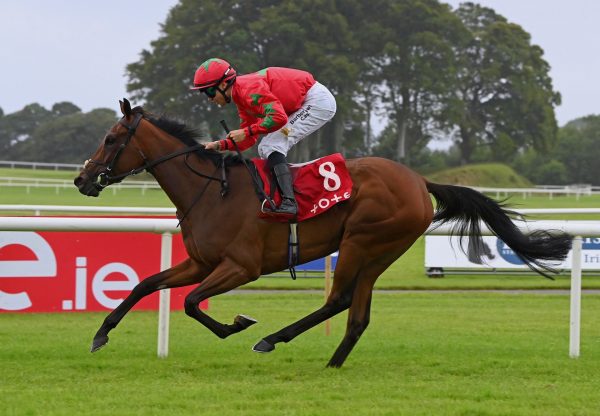 Kashel Spring (Australia) Wins At Ballinrobe