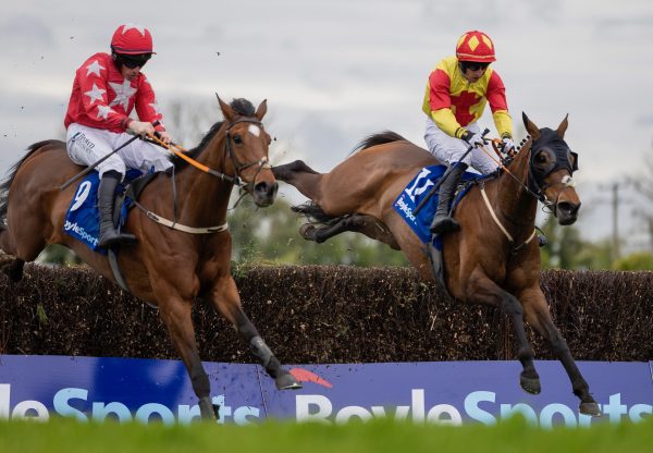 Kiltealy Park (Walk In The Park) Wins Listed Boylesports Mares Handicap Chase
