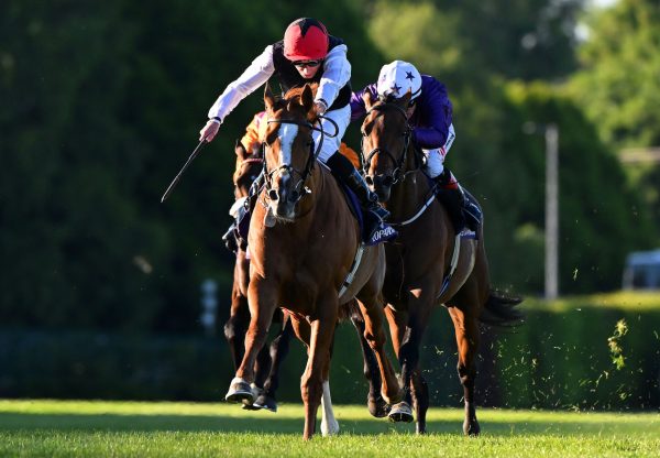 Kyprios Lwins The Saval Beg Stakes For A Second Time
