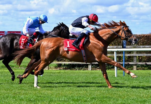 Kyprios Wins His Third Listed Vintage Crop Stakes