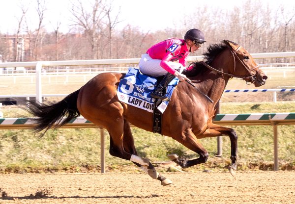 Lady Lowery (Munnings) Wins Beyond The Wire Stakes at Laurel Park