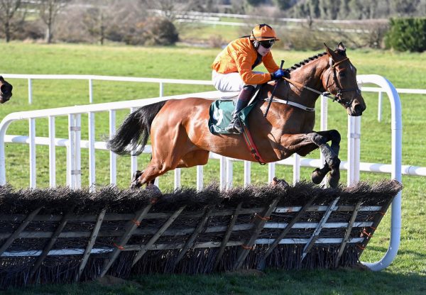 Lady Rita (Westerner) Wins Her Maiden Hurdle At Navan