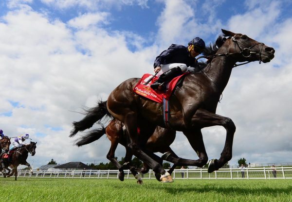 Lambourn (australia) Wins The Irish Derby