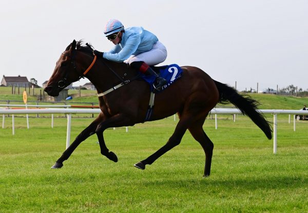 Ledecky (wootton bassett) Tramore 29