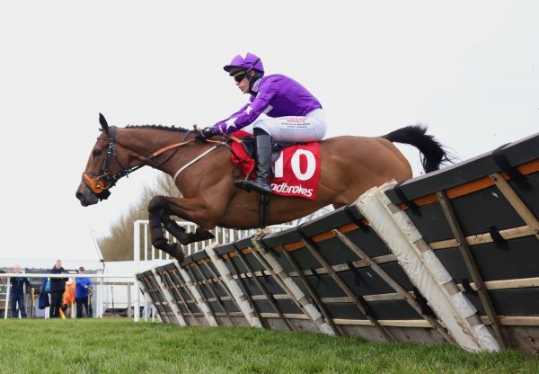 Leloopa (Wings of Eagles) Kelso