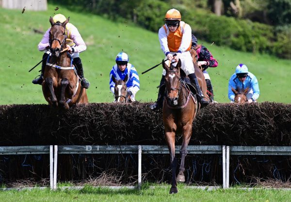 Lets Mingle (Walk in The Park) Wins The 4 Yo Mares Maiden At Loughanmore