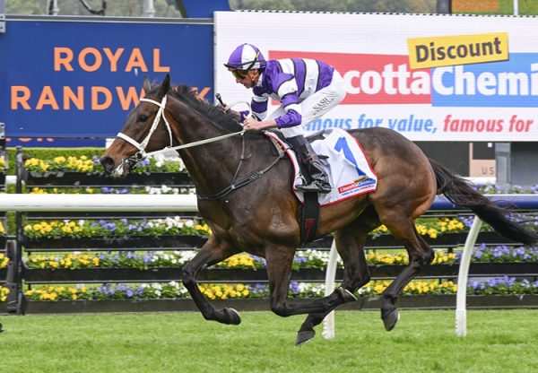 Lindermann Craven 750