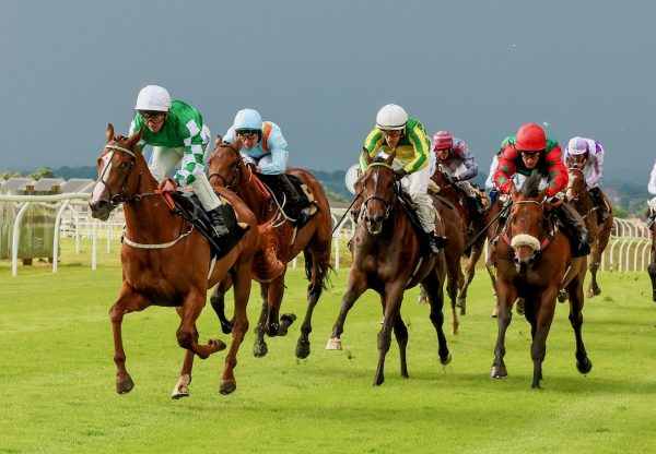 Line Of Force (Calyx) Makes It Two From Two