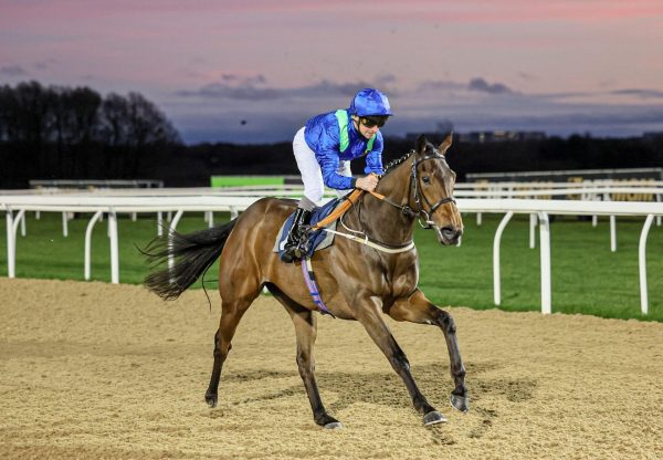 Loquella No Nay Never Newcastle