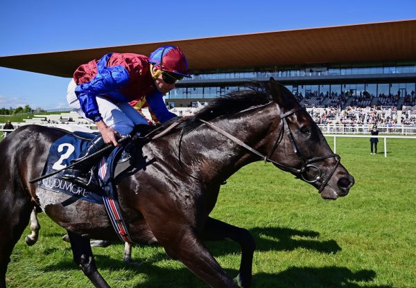 Los Angeles (Camelot) Wins The Group 2 Mooresbridge Stakes