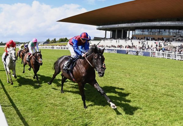 Los Angeles (camelot) Wins The Tattersalls Gold Cup