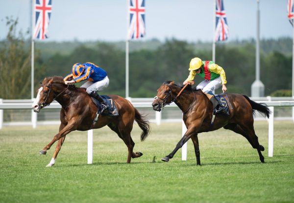 Love (Galileo) Wins The Group 1 Prince Of Wales’s Stakes at Royal Ascot