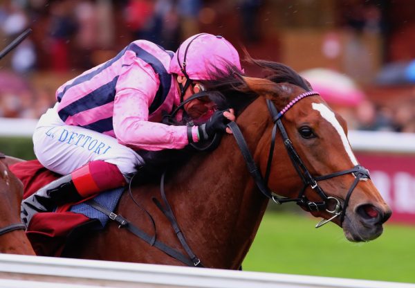 Loving Dream (Gleneagles) Wins The Group 1 Prix De Royallieu At Longchamp