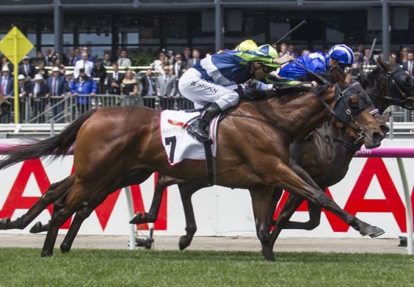 Luvaluva (Mastercraftsman) winning the G2 VRC Wakeful Stakes at Flemington