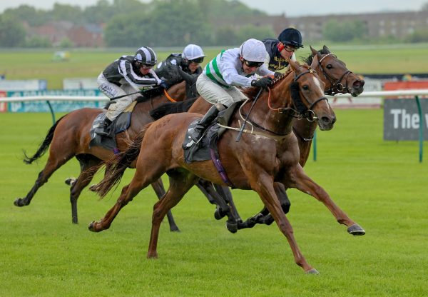 Madame Ambassador (Churchill)  Wins The Listed Rothesay Stakes