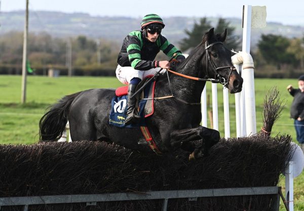 Majestic Horizon Wings Of Eagles Rathcannon