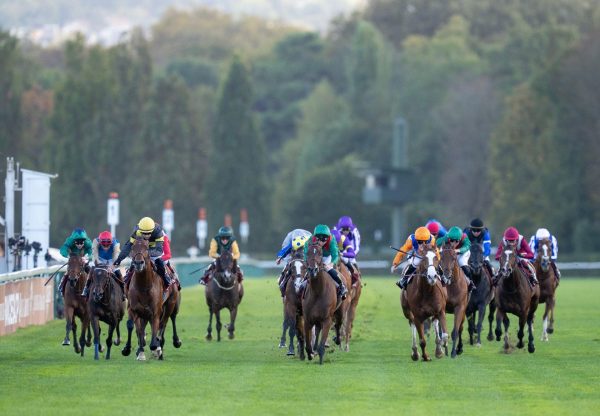 Maranoa Charlie Wootton Bassett Longchamp