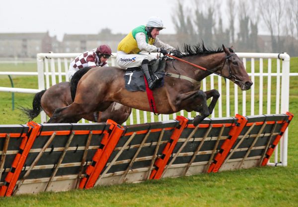 Marown (Milan) Wins His First Start Over Hurdles At Ayr