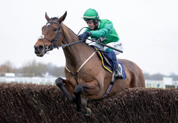 Matata (Vadamos) Impresses At Windsor