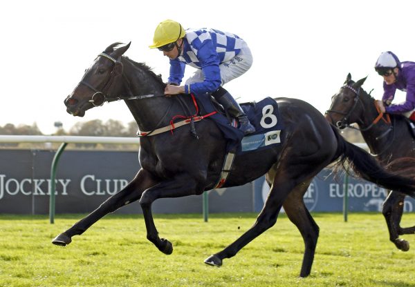 Matilda Picotte (Sioux Nation) wins the Listed Bosra Sham Stakes at Newmarket